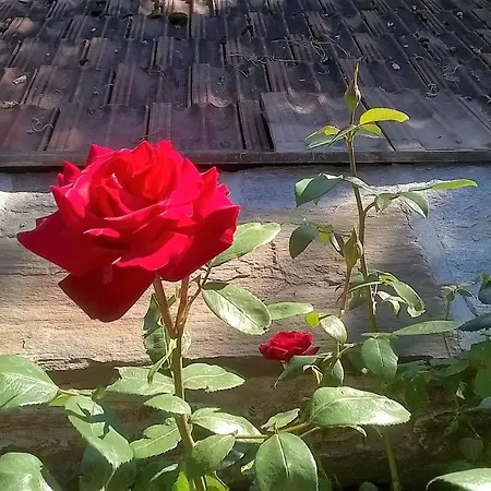 La Casa Di Monica E Luciano 스트레사